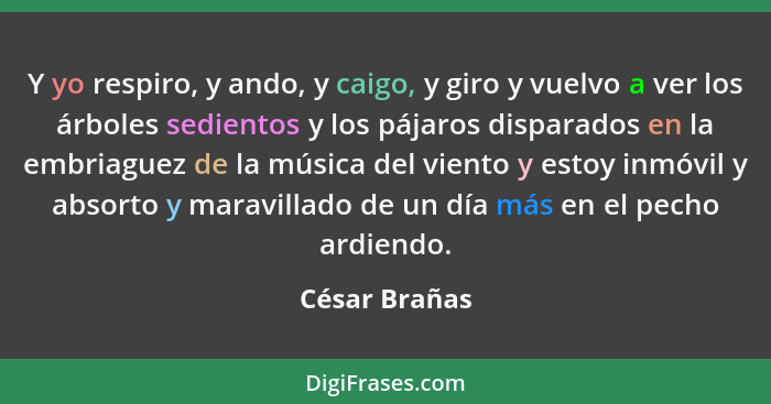 Y yo respiro, y ando, y caigo, y giro y vuelvo a ver los árboles sedientos y los pájaros disparados en la embriaguez de la música del v... - César Brañas