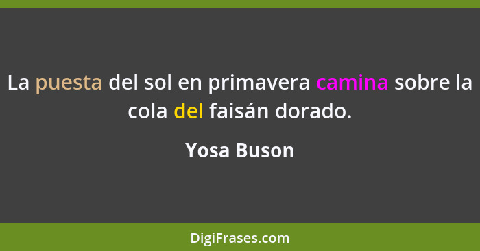 La puesta del sol en primavera camina sobre la cola del faisán dorado.... - Yosa Buson