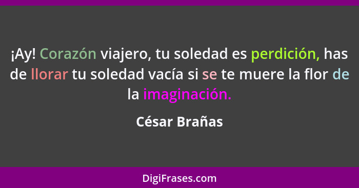 ¡Ay! Corazón viajero, tu soledad es perdición, has de llorar tu soledad vacía si se te muere la flor de la imaginación.... - César Brañas