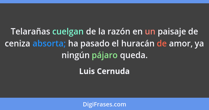 Telarañas cuelgan de la razón en un paisaje de ceniza absorta; ha pasado el huracán de amor, ya ningún pájaro queda.... - Luis Cernuda