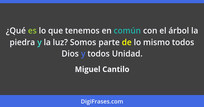 ¿Qué es lo que tenemos en común con el árbol la piedra y la luz? Somos parte de lo mismo todos Dios y todos Unidad.... - Miguel Cantilo