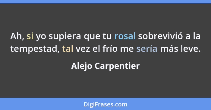 Ah, si yo supiera que tu rosal sobrevivió a la tempestad, tal vez el frío me sería más leve.... - Alejo Carpentier