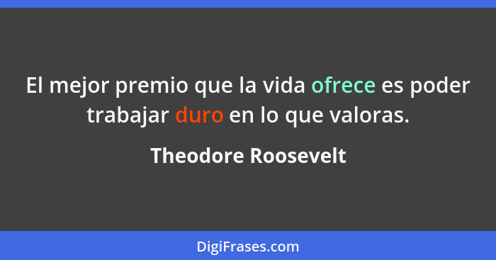 El mejor premio que la vida ofrece es poder trabajar duro en lo que valoras.... - Theodore Roosevelt