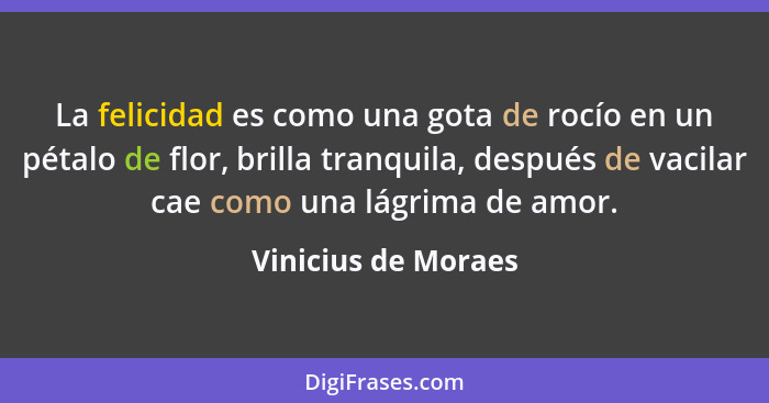 La felicidad es como una gota de rocío en un pétalo de flor, brilla tranquila, después de vacilar cae como una lágrima de amor.... - Vinicius de Moraes