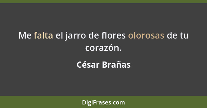 Me falta el jarro de flores olorosas de tu corazón.... - César Brañas