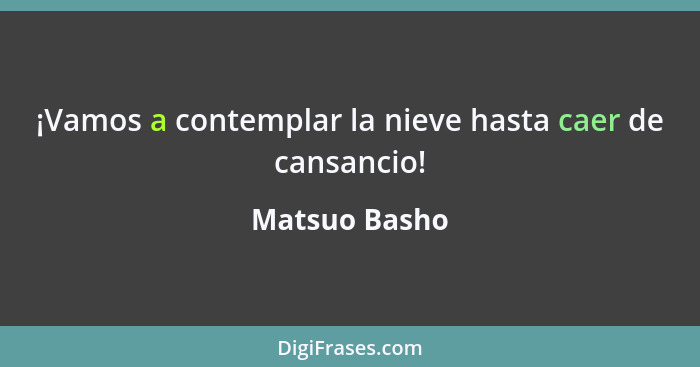 ¡Vamos a contemplar la nieve hasta caer de cansancio!... - Matsuo Basho