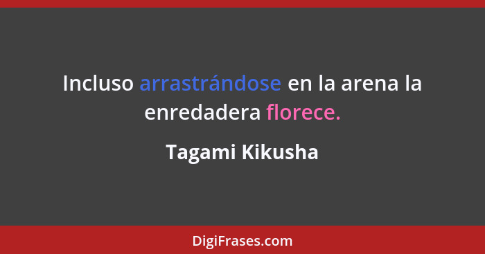 Incluso arrastrándose en la arena la enredadera florece.... - Tagami Kikusha