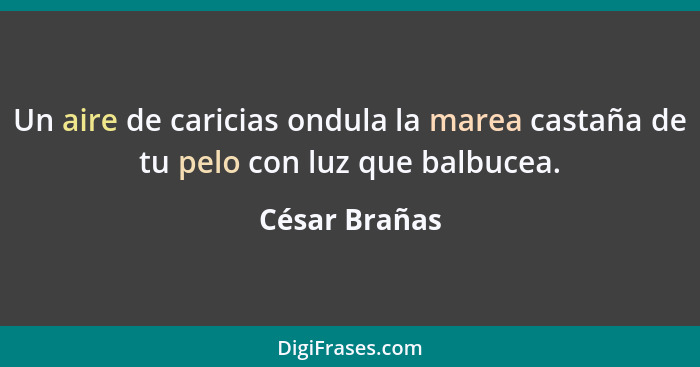 Un aire de caricias ondula la marea castaña de tu pelo con luz que balbucea.... - César Brañas