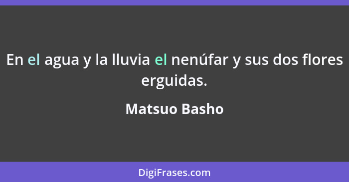 En el agua y la lluvia el nenúfar y sus dos flores erguidas.... - Matsuo Basho