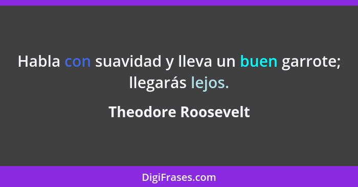 Habla con suavidad y lleva un buen garrote; llegarás lejos.... - Theodore Roosevelt