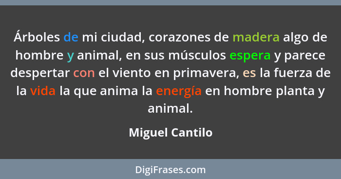 Árboles de mi ciudad, corazones de madera algo de hombre y animal, en sus músculos espera y parece despertar con el viento en primave... - Miguel Cantilo