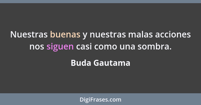 Nuestras buenas y nuestras malas acciones nos siguen casi como una sombra.... - Buda Gautama