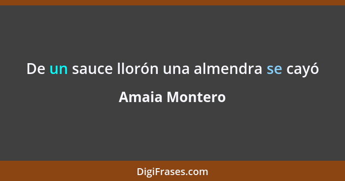 De un sauce llorón una almendra se cayó... - Amaia Montero