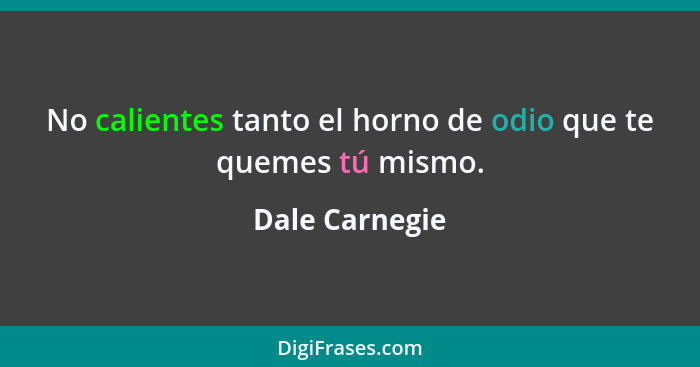 No calientes tanto el horno de odio que te quemes tú mismo.... - Dale Carnegie