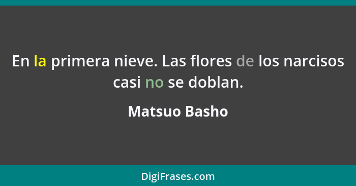 En la primera nieve. Las flores de los narcisos casi no se doblan.... - Matsuo Basho