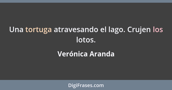 Una tortuga atravesando el lago. Crujen los lotos.... - Verónica Aranda