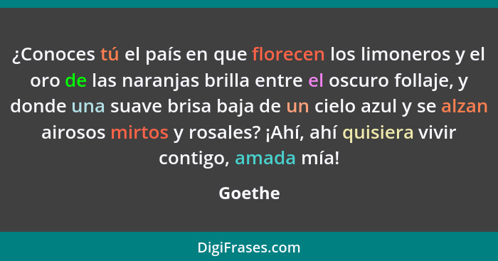 ¿Conoces tú el país en que florecen los limoneros y el oro de las naranjas brilla entre el oscuro follaje, y donde una suave brisa baja de un... - Goethe