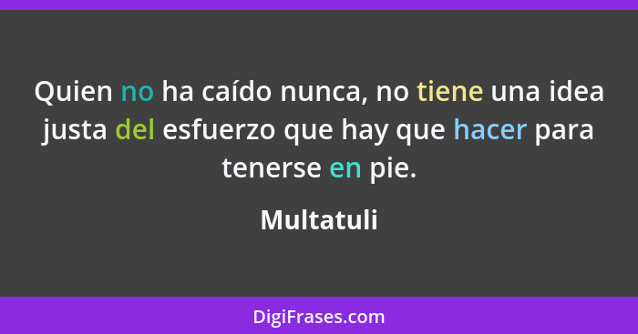 Quien no ha caído nunca, no tiene una idea justa del esfuerzo que hay que hacer para tenerse en pie.... - Multatuli