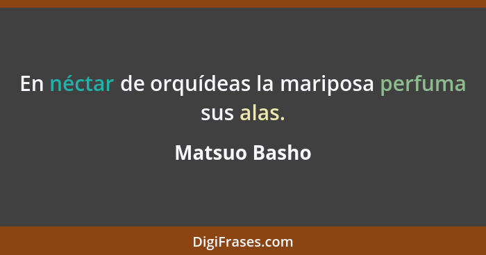 En néctar de orquídeas la mariposa perfuma sus alas.... - Matsuo Basho