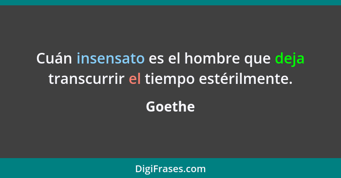 Cuán insensato es el hombre que deja transcurrir el tiempo estérilmente.... - Goethe