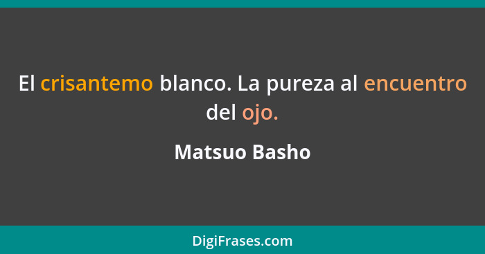 El crisantemo blanco. La pureza al encuentro del ojo.... - Matsuo Basho