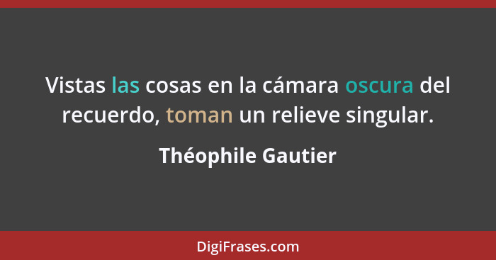 Vistas las cosas en la cámara oscura del recuerdo, toman un relieve singular.... - Théophile Gautier