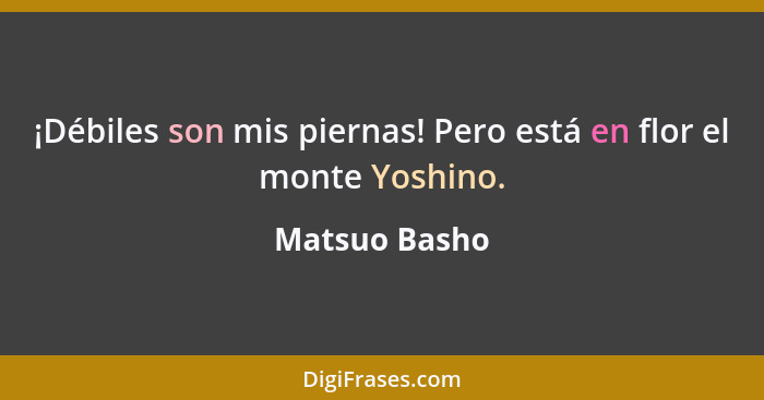 ¡Débiles son mis piernas! Pero está en flor el monte Yoshino.... - Matsuo Basho