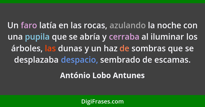 Un faro latía en las rocas, azulando la noche con una pupila que se abría y cerraba al iluminar los árboles, las dunas y un haz... - António Lobo Antunes