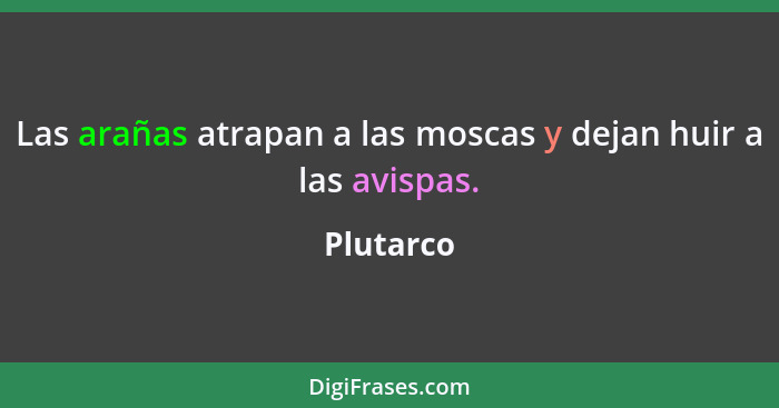 Las arañas atrapan a las moscas y dejan huir a las avispas.... - Plutarco