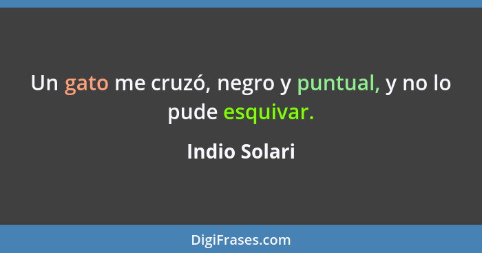 Un gato me cruzó, negro y puntual, y no lo pude esquivar.... - Indio Solari