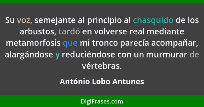 Su voz, semejante al principio al chasquido de los arbustos, tardó en volverse real mediante metamorfosis que mi tronco parecía... - António Lobo Antunes