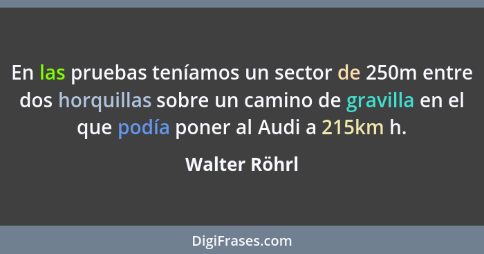 En las pruebas teníamos un sector de 250m entre dos horquillas sobre un camino de gravilla en el que podía poner al Audi a 215km h.... - Walter Röhrl