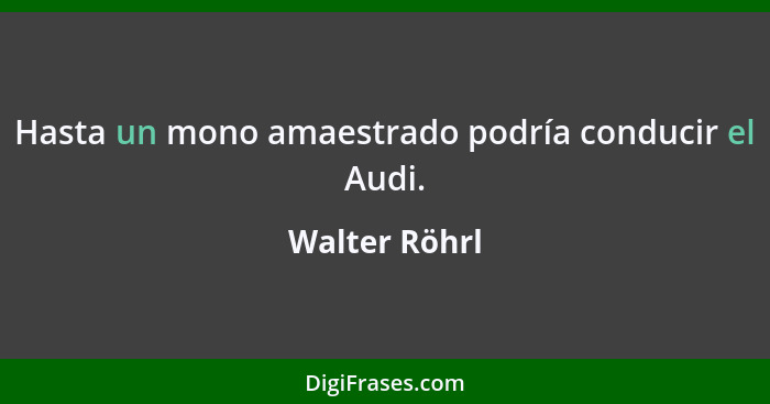 Hasta un mono amaestrado podría conducir el Audi.... - Walter Röhrl