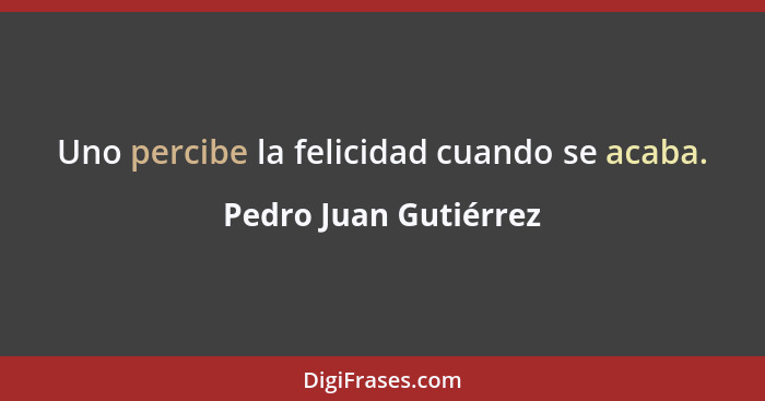 Uno percibe la felicidad cuando se acaba.... - Pedro Juan Gutiérrez