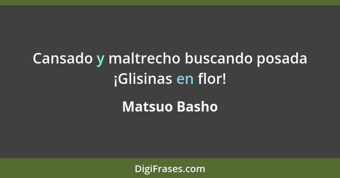 Cansado y maltrecho buscando posada ¡Glisinas en flor!... - Matsuo Basho