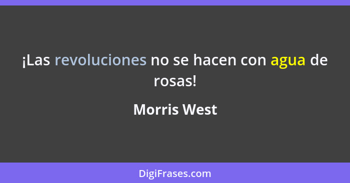 ¡Las revoluciones no se hacen con agua de rosas!... - Morris West