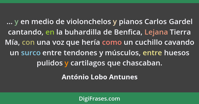 ... y en medio de violonchelos y pianos Carlos Gardel cantando, en la buhardilla de Benfica, Lejana Tierra Mía, con una voz que... - António Lobo Antunes