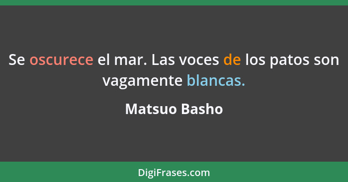 Se oscurece el mar. Las voces de los patos son vagamente blancas.... - Matsuo Basho