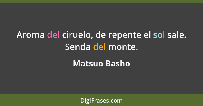 Aroma del ciruelo, de repente el sol sale. Senda del monte.... - Matsuo Basho