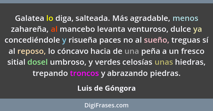 Galatea lo diga, salteada. Más agradable, menos zahareña, al mancebo levanta venturoso, dulce ya concediéndole y risueña paces no al... - Luis de Góngora