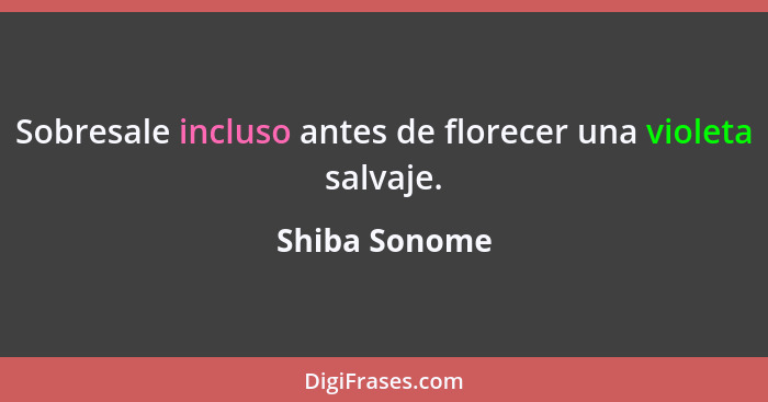 Sobresale incluso antes de florecer una violeta salvaje.... - Shiba Sonome