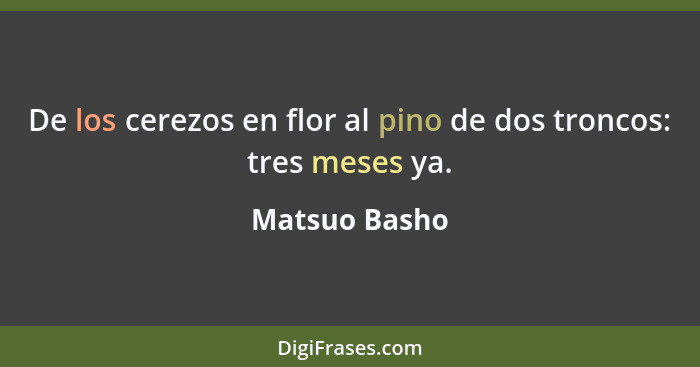 De los cerezos en flor al pino de dos troncos: tres meses ya.... - Matsuo Basho