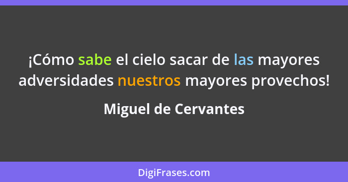 ¡Cómo sabe el cielo sacar de las mayores adversidades nuestros mayores provechos!... - Miguel de Cervantes