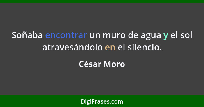 Soñaba encontrar un muro de agua y el sol atravesándolo en el silencio.... - César Moro