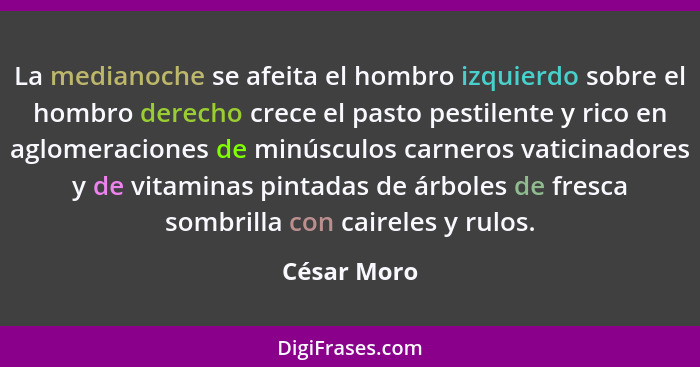 La medianoche se afeita el hombro izquierdo sobre el hombro derecho crece el pasto pestilente y rico en aglomeraciones de minúsculos carn... - César Moro