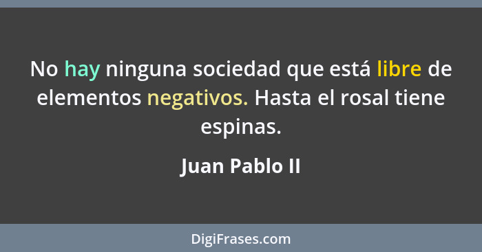 No hay ninguna sociedad que está libre de elementos negativos. Hasta el rosal tiene espinas.... - Juan Pablo II