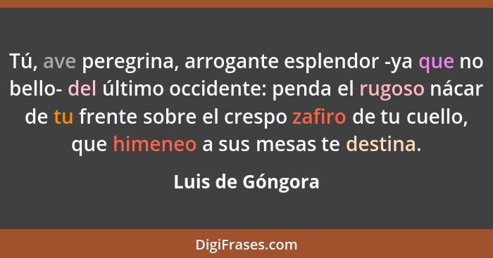 Tú, ave peregrina, arrogante esplendor -ya que no bello- del último occidente: penda el rugoso nácar de tu frente sobre el crespo za... - Luis de Góngora