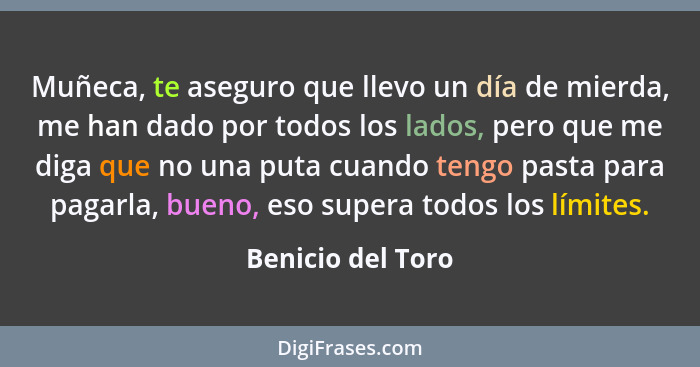 Muñeca, te aseguro que llevo un día de mierda, me han dado por todos los lados, pero que me diga que no una puta cuando tengo pasta... - Benicio del Toro