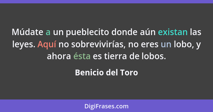 Múdate a un pueblecito donde aún existan las leyes. Aquí no sobrevivirías, no eres un lobo, y ahora ésta es tierra de lobos.... - Benicio del Toro