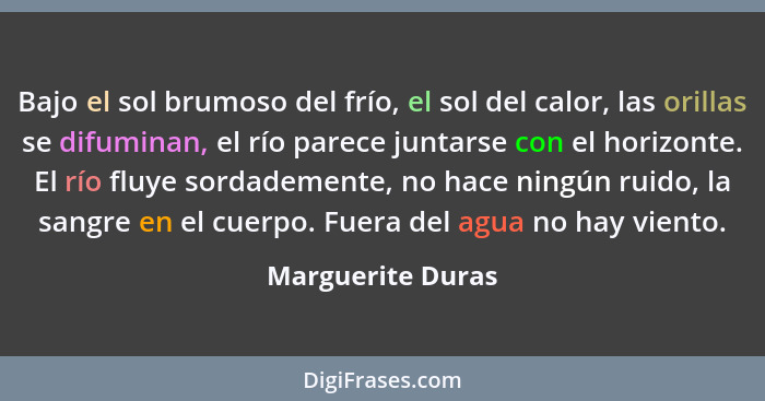 Bajo el sol brumoso del frío, el sol del calor, las orillas se difuminan, el río parece juntarse con el horizonte. El río fluye sor... - Marguerite Duras